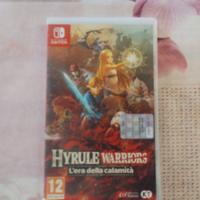 The Legend of Zelda Hyrule Warriors.