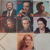 20 vinili musica lirica varia (vedi descrizione)