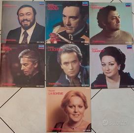 20 vinili musica lirica varia (vedi descrizione)