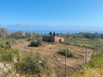 Mezzana, Terreno agricolo con rudere