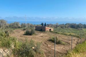 Mezzana, Terreno agricolo con rudere