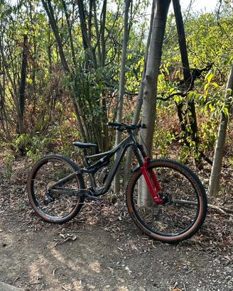 Orbea rallon trail transformed