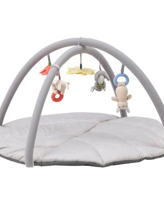 Palestrina neonato 