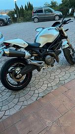 Ducati monster
