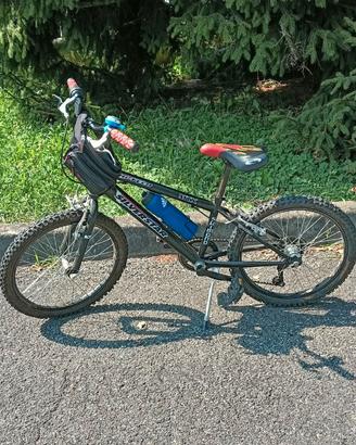 bicicletta Silver Star MTX raggio 20' 