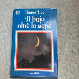 Il buio oltre la siepe