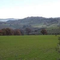 Terreno Agricolo di 26 Ha a Treia
