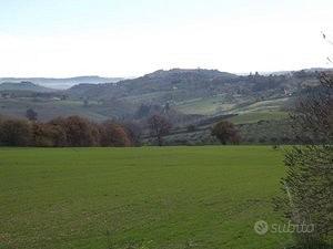 Terreno Agricolo di 26 Ha a Treia