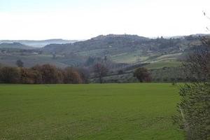 Terreno Agricolo di 26 Ha a Treia