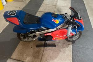 Mini Moto da Corsa (Livrea Red Bull/NSR)