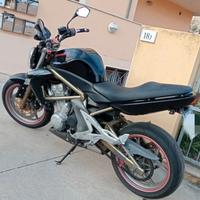 Kawasaki ER6N