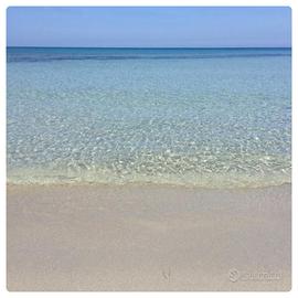 A 500 mt dalla spiaggia