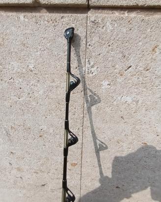 canna traina con mulinello shimano
