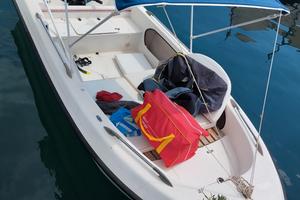 barca a motore 