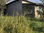 Immagine 8