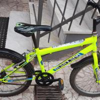 Bicicletta Marzano