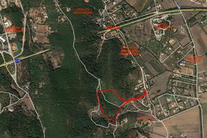 Terreno agricolo collinare