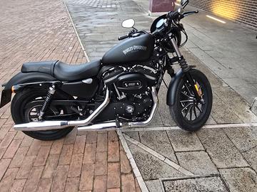 Harley-Davidson 883 Iron
