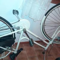bicicletta