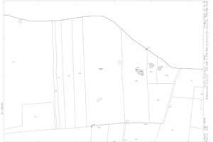 Azienda Tomatodoc + Terreno