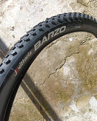copertone Vittoria Barzo nuovo 29 