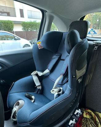 Seggioloni auto