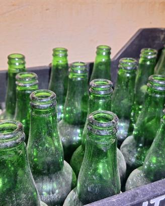 Lotto Bottiglie di Vetro Verde da 66cl 30 BOTTIGLI
