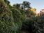 Immagine 19