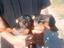 Immagine 2