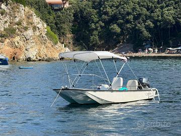 Boston Whaler 13