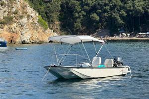 Boston Whaler 13