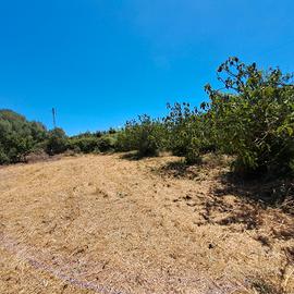 Terreno agricolo