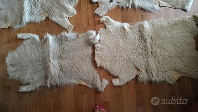 4 tappeti in pelle di pecora