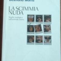 la scimmia nuda