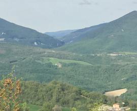Terreno agricolo 33 ettari