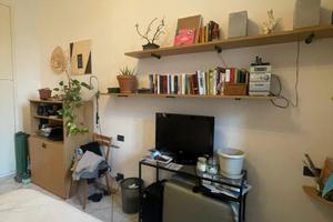 Bilocale su M2- 800 euro