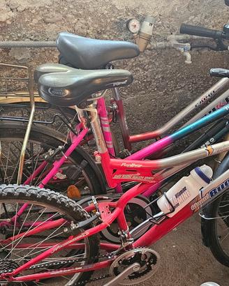 Biciclette Usate