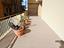 Immagine 25