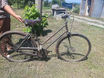 Bicicletta da donna Aquila