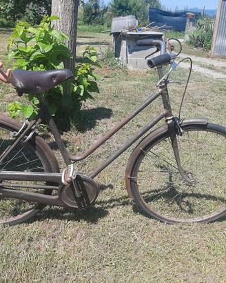 Bicicletta da donna Aquila