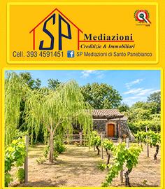 Magazzino con terreno