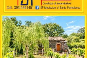 Magazzino con terreno