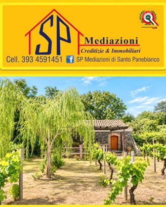 Magazzino con terreno