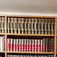 enciclopedia e dizionario treccani