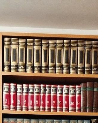 enciclopedia e dizionario treccani