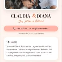 Dogsitter
