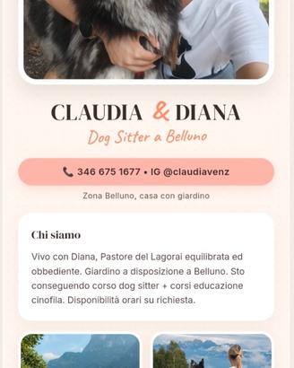 Dogsitter
