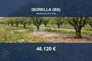 Immobile in asta di 11620 m² a Isorella
