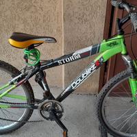 biciletta – mountain bike – da ragazzo / ragazza