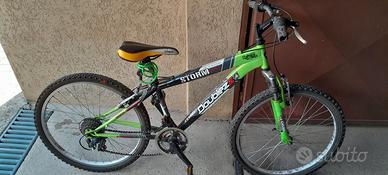 biciletta – mountain bike – da ragazzo / ragazza
